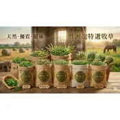 《胖頭龍批發工廠》美國特級牧草 提摩西 牧草 苜蓿草 果園草 甜燕麥 牧草 一割 二割 三割 單壓牧草 單壓 百慕達牧草