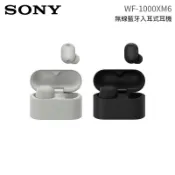 【蝦皮直營】SONY 索尼 WF-1000XM6 真無線降躁 入耳式 藍芽耳機 AI智慧降噪 入耳式耳機 廠商直送
