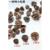 【芊綠人造花藝資材批發】超大包 一公斤裝 松果 特小 純天然乾燥 松枝 松樹果 栗子果 毯果 橡實果 乾燥花 橡果 果實