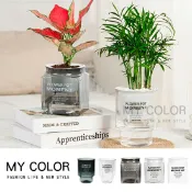 Mycolor 花盆 盆栽 自動吸水盆栽 懶人盆栽 塑膠花盆 水培花盆 水耕盆栽 多肉植物 多肉盆 園藝 透明花盆 植物花盆 雙層花盆 美式自吸水盆栽 ♚MY COLOR♚【M126】