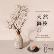 【竹木鳥和風餐具】天然海樹5/6/8/9英吋乾燥海樹珊瑚台灣現貨海扇柳珊瑚天然海柳樹海鐵樹造景海樹料理裝飾拍攝道具
