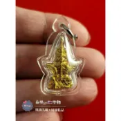 2551 龍普嘎龍 陶威素灣天神〈鬼王〉-泰樂go🇹🇭聖物精品 ~泰國佛牌聖物~南傳佛教~佛牌鍊~佛牌鏈~周邊商品