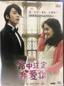 【百匯門】命中注定我愛你DVD 《台灣正版二手韓劇 (全20集6片裝) 張赫 / 張娜拉 / 崔振赫  國韓雙語》