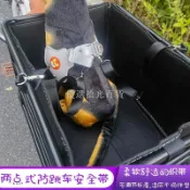 寵物籃子自行車山地車車筐帶狗狗座椅神器后座架特大框加大電動車
