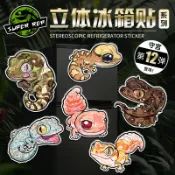 怪獸冰箱貼 台灣代理 正版 守宮2 豹紋守宮 細皮瘤尾守宮 魔物守宮 枯葉守宮 蛤蚧守宮 大守宮 珠寶守宮 現貨