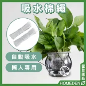 (店+)吸水棉繩 10公尺 懶人吸水繩 自動吸水 水培 懶人花盆 澆花吸水繩 棉線 園藝【HOMEDEN霍登園藝】