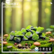 苔蘚微景觀造景森林石頭DIY裝飾品盆栽花盆魚缸景觀小石頭小擺件 可開發票✅咩咩星球🔥台灣出貨🔥