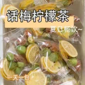 代開發票 麥10 送1 免運 【話梅凍檸茶】夏日暢飲冷泡檸檬乾果茶 水果茶果茶 果乾水 果乾茶 果乾水茶包 話梅水果茶包