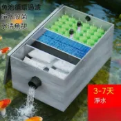 免運✨隨發票🔥戶外不鏽鋼魚池淨水設備循環過濾系統錦鯉專用魚池過濾器循環系統 不鏽鋼魚池過濾 魚缸過濾器 魚池過濾器