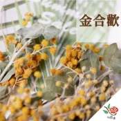 (店+)超便宜 永生金合歡 當季 極度花燥 花材 葉材 永生花 乾燥花 不凋花 金合歡 葉 葉子 畢業季 畢業 七夕 情人節