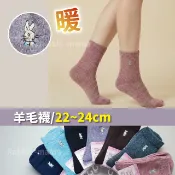 【現貨】彼得兔 保暖襪 百搭絷色休閒襪 羊毛襪 5580 比得兔 羊毛襪子 女襪 女生襪子 保暖短襪 兔子媽媽