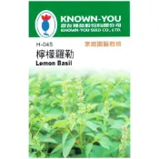 (店+)【天橙種子】檸檬羅勒種子 H-045 約150粒 印尼常用羅勒 香草種子 農友種苗 彩色原包裝