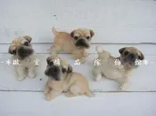 ~＊歐室精品傢飾館＊~沙皮狗擺飾~小款~4/組~新款上市~