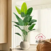 布拉格奇幻生活 免運 公司貨 仿真 仿生綠植仿真植物旅人蕉大型假樹天堂鳥北歐室內客廳裝飾盆栽擺件 可開發票 全館五折 工廠現貨直銷 新品特價 BLGQHSH1225