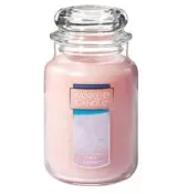 YANKee CANDLe 香氛蠟燭 粉紅沙灘 623g 1個