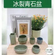 【滿額免運】冰裂青石盆 迷你盆 6款 生活家飾 陶盆 蘭花盆 多肉花盆 仙人掌花盆 陶瓷花盆 小盆栽 盆器  綜一園藝