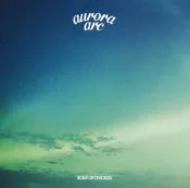特價預購 BUMP OF CHICKEN棒棒雞樂團 aurora arc (日版通常盤CD)最新2019 航空版    