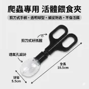 陸龜驛站｜爬蟲餵食活體夾 餵食夾子 夾便器 清潔夾 捕蟲夾 捕捉夾 活餌 飼料 麵包蟲 蜥蜴 守宮 蜘蛛鏟屎爬寵砂沙