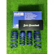 德國 H&R 短彈簧 VW Golf Tiguan Passat T-Cross T6 Caddy Touran 福斯