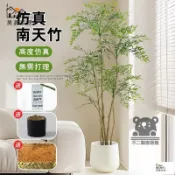 昊鑫家居 公司貨 可開發票 【仿真南天竹 宅配免運】仿真植物 室內大型仿生綠植擺件 客廳裝飾樹 落地盆栽 高端輕奢客廳假植物 仿真大型盆栽工廠現貨直銷 店長新品推薦 全館八折 售後保障 5h830