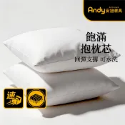 【安迪寢具】現貨快出 可水洗 枕心 抱枕心 兒童枕頭 枕頭 抱枕枕心 枕芯 抱枕 抱枕芯 台灣製造 工廠直營 可訂製