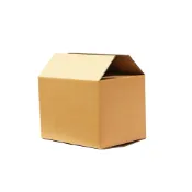 (店+)【喵汪森林】三層瓦楞紙箱 10號 17.5*9.5*11.5cm(小物包裝 小紙箱 B浪 三層 瓦楞 紙箱 網拍)
