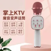 鼎盛貿易行 DS813電容麥克風兒童話筒音響一體唱歌娛樂手機K歌寶