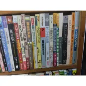 書籍 通往女人國度之門 文鳳鳴詩選 (與神合一 與神為友 與神對話)(讓女人自己說話 獨立的歷程 民族敘事 親歷戰爭)