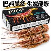 【鮮味】(批發專區)巴西生凍龍蝦 箱/10公斤