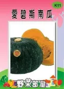 【野菜部屋~】K11 日本愛碧斯南瓜種子 , 栗子南瓜 , 果肉厚實 , 富含多種營養素 ~