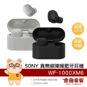 SONY 索尼 WF-1000XM6 旗艦 降噪再升級 大師調音 支援快充 無線充電 真無線 藍牙耳機 | 金曲音響
