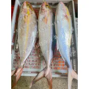 星海家澎湖名產🔍紅甘魚（下單前請私聊）