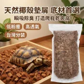 寵物都更所 爬蟲椰纖墊屑底材 椰纖 椰塊 椰纖塊 爬蟲墊材 守宮墊材 園藝 底材 墊材 介質 兩棲爬蟲 角蛙 昆蟲