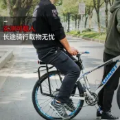 【快拆式】自行車後貨架 腳踏車貨架 洛克兄弟 通用後尾架 登山車 山地車 行李架 載人 自行車配件 快拆