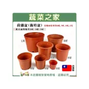 (店+)【蔬菜之家】荷蘭盆栽培盆 3吋.3.5吋.4吋.5吋 ※賣場另有其他尺寸紅盆 種植盆 花盆 塑膠花盆 蔬菜盆
