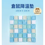 現貨快速出貨倉鼠涼墊蝦皮最低價 夏季消暑涼墊倉鼠降溫板散熱板夏天寵物涼毯涼蓆窩冰墊消署墊銀狐鼠布丁鼠三線鼠黃金鼠