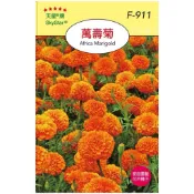 【天橙種子】萬壽菊種子 F-911 混合色 花卉類種子 8~4月播種 天星牌 穗耕種苗 家庭園藝 彩色原包裝