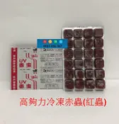 台中阿永-日本(Hikari)高夠力-UV冷凍無菌赤蟲(紅蟲)24小塊/片(100g)**需冷凍寄送**