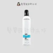 (店+)立坽『造型品』晨宏國際公司貨 SELECTIVE雪樂媞 環球泡固定慕斯400ml (黏)
