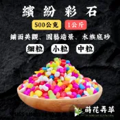 發票現貨~彩石 (500公克/1公斤)(多粒徑) 好運石 五彩石 彩色石頭 魚缸底砂 盆栽鋪面 裝飾 水族鋪缸 園藝造景
