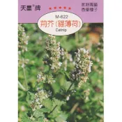 愛上種子 荊芥種子 貓薄荷【香藥草種子】 貓草種子 天星牌 小包裝種子