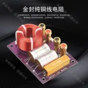 🔥熱賣🔥精全DIYLIVE音響 HIFI發燒家用音箱 高音分音器 超高音分頻器T1B 高音獨立分頻器 超高音分頻器