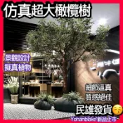 💥宅配免運費💥民雄快速出貨🔥各式超擬真仿真植物🔥仿真大橄欖樹 散尾葵 旅人蕉 琴葉榕 龜背葉 假樹 假盆栽 蕨葉 假植物