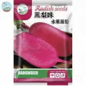 【原廠包裝】鳳梨蘿蔔種子（Pineapple Radish）240粒裝生吃像水果 金黃果肉爆甜多汁 脆嫩無辣味 廚房花園