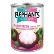 【Eileen小舖】泰國 雙象地球牌 糖水山竹 罐頭 565g 水果冰 甜品 烘焙甜點 醃漬 蛋糕 零食 沙拉 烹飪