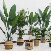 【熱賣】芭蕉樹仿真綠植旅人蕉盆栽擺件客廳裝飾假綠植龜背葉室內落擺設