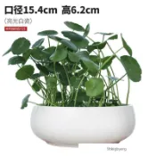 限時免運 陶瓷花盆 盆器 大花盆 盆 多肉花盆 歐式花盆水培器皿綠籮水培植物異形花瓶創意個性銅錢草碗蓮陶
