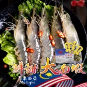 【帥哥魚】【799免運】👑皇冠牌👑 活凍大白蝦 馬來西亞 皇冠牌 大白蝦 蝦子 白蝦 南美洲白蝦 活白蝦 活凍白蝦 海水
