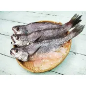 【魚魚小舖】野生現流海魚 秋刀魚 黑鮪魚 現流紅目鰱 土魠魚 白腹魚 皮刀魚 不斷更新 全家799免運