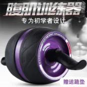 台灣出貨 腹肌滾輪 靜音大輪框 可回彈 健腹輪 健腹滾輪 運動滾輪 健身滾輪 推輪 健美輪 雙滾輪 健身自動回彈健腹輪